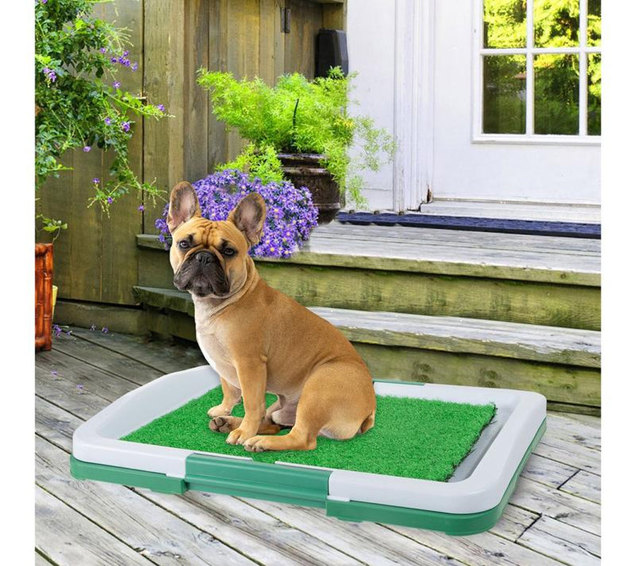 Petmaker Artificial Grass Pee Pad Set Reusable Puppy Essential