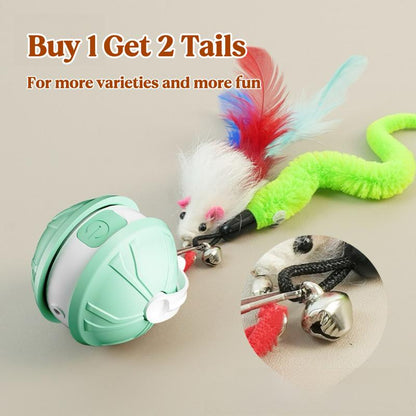 Interactive Laser Pet Ball, Buy 1 Get 2 Tails, Hunting Fun for Bored Cats