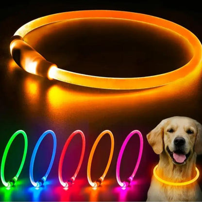 EVERBETTERUS LED Dog Collar USB Rechargeable Glowing Lighted up Collar, Cuttable Water-Resistant TPU Safety Collar Lights for Small Medium Large Dogs, Pink